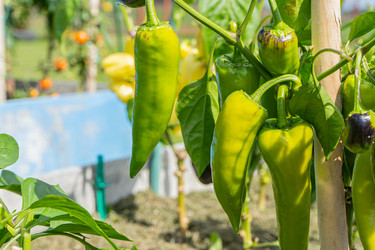 Similar image 22243397