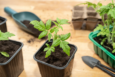 Similar image 22243399