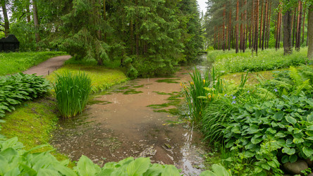 Similar image 22235861