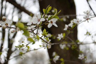 Similar image 22236413