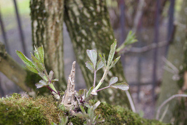 Similar image 22236414