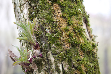 Similar image 22236415