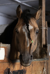 Similar image 22245492