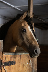 Similar image 22245493