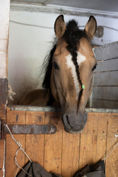 Similar image 22245494