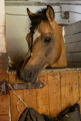 Similar image 22245495