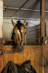 Similar image 22245496