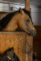 Similar image 22245497