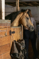 Similar image 22245498