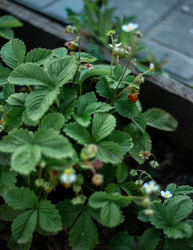 Similar image 22236299