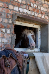 Similar image 22245499