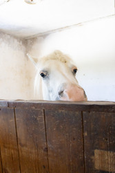 Similar image 22245500