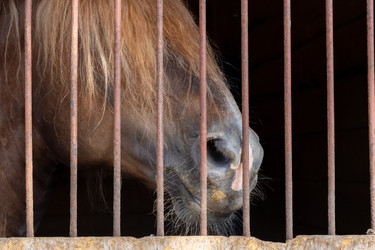 Similar image 22245501