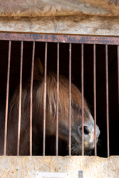 Similar image 22245511