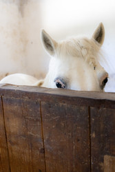 Similar image 22245512