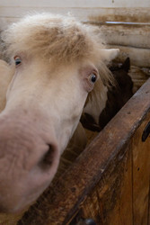 Similar image 22245515