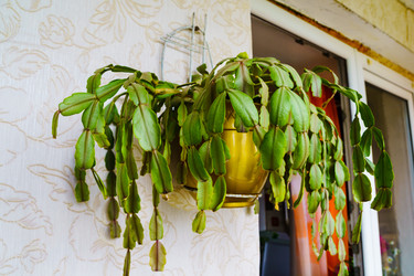 Similar image 22237153