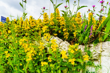 Similar image 22237154