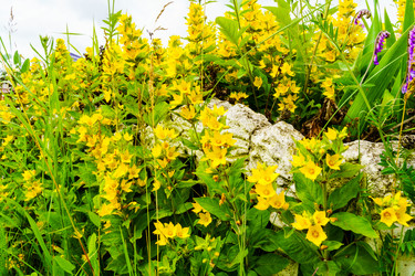 Similar image 22237156