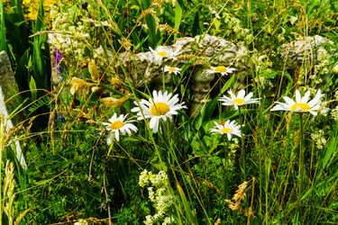 Similar image 22237157