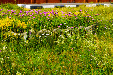 Similar image 22237158