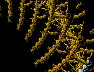 Similar image 22245967