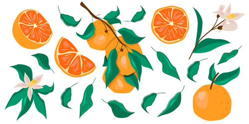 Similar image 22235444