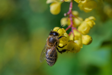 Similar image 22235869