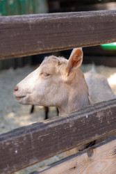 Similar image 22245521