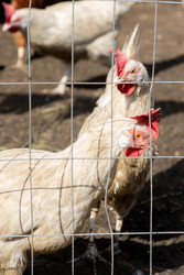 Similar image 22245522