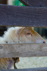 Similar image 22245524