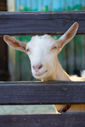 Similar image 22245525