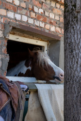 Similar image 22245530