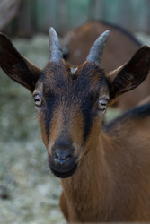 Similar image 22245531