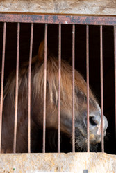 Similar image 22245534