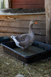 Similar image 22245539