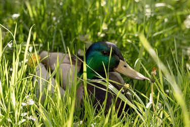 Similar image 22245544