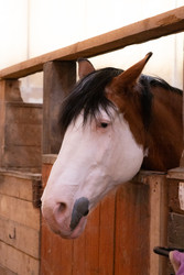 Similar image 22245546