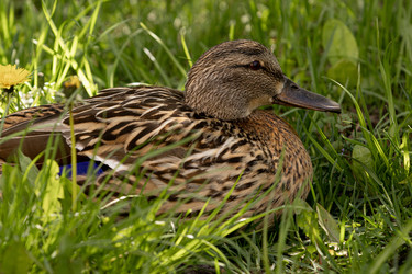 Similar image 22245547