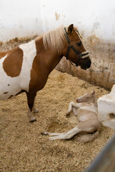 Similar image 22245551