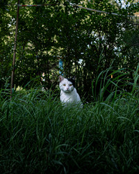 Similar image 22235655