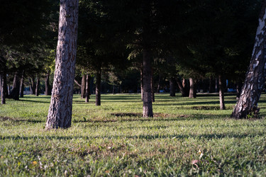 Similar image 22235656