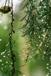 Similar image 22235013