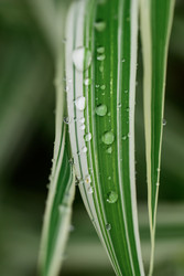 Similar image 22235014