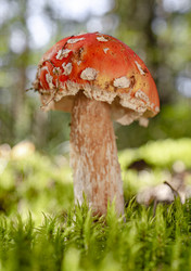 Similar image 22236970