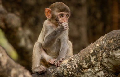 Similar image 22236971