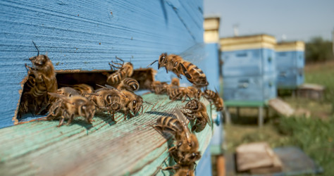 Similar image 22236973