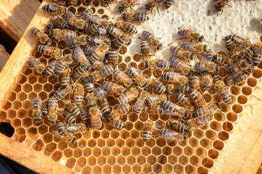 Similar image 22236974