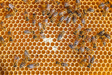 Similar image 22236975