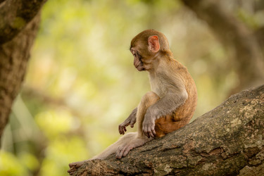 Similar image 22236977